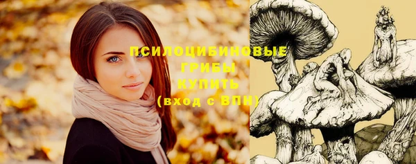 метадон Краснослободск