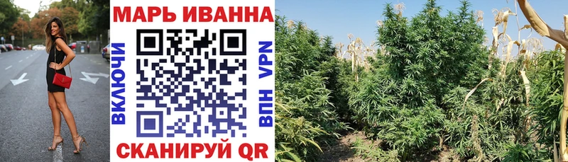Каннабис гибрид  Купить  Изобильный 
